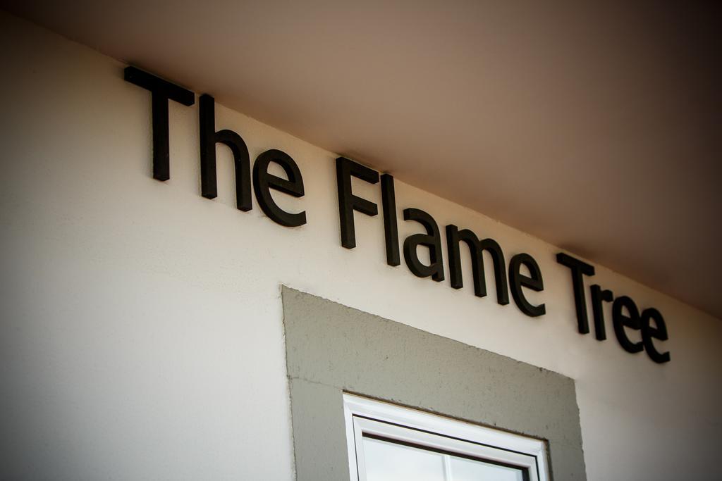 The Flame Tree Madeira (Adults Only) Hotel Funchal  Ngoại thất bức ảnh